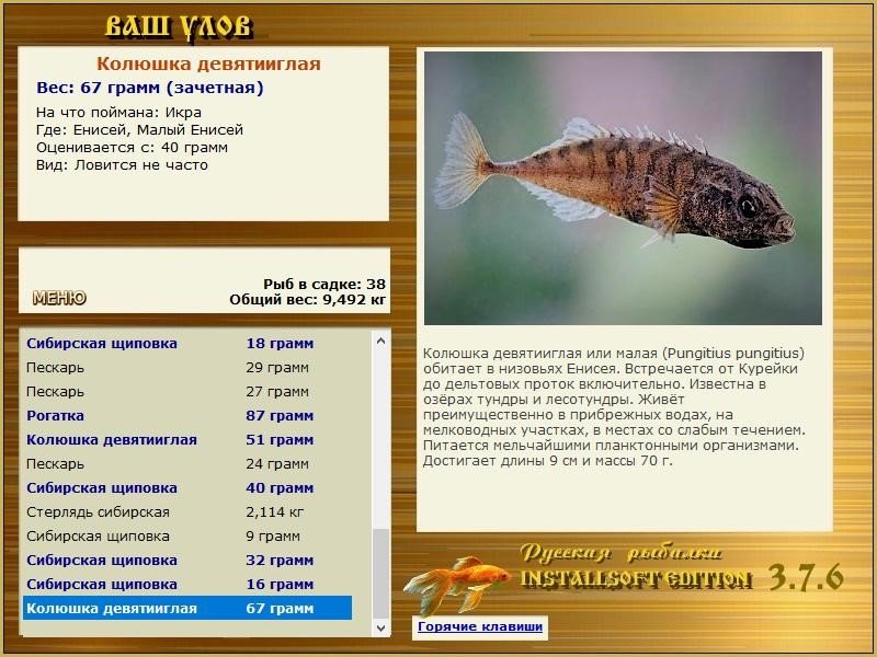 РУССКАЯ РЫБАЛКА Installsoft Edition 