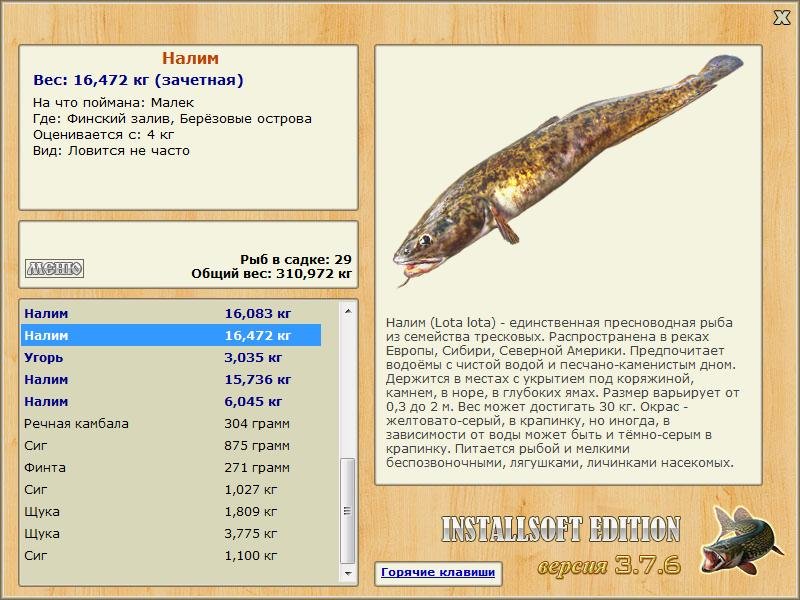 Берёзовые острова 