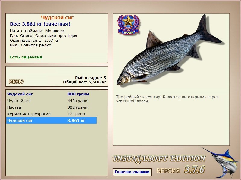 Чудской сиг 