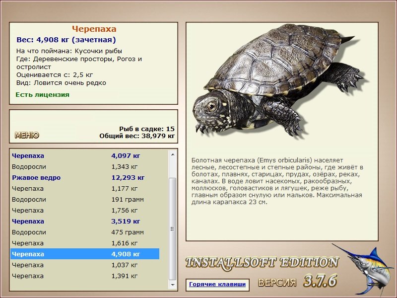 Рогоз и остролист 