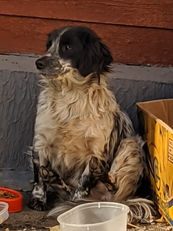 Финансовый отчет Ладушки 