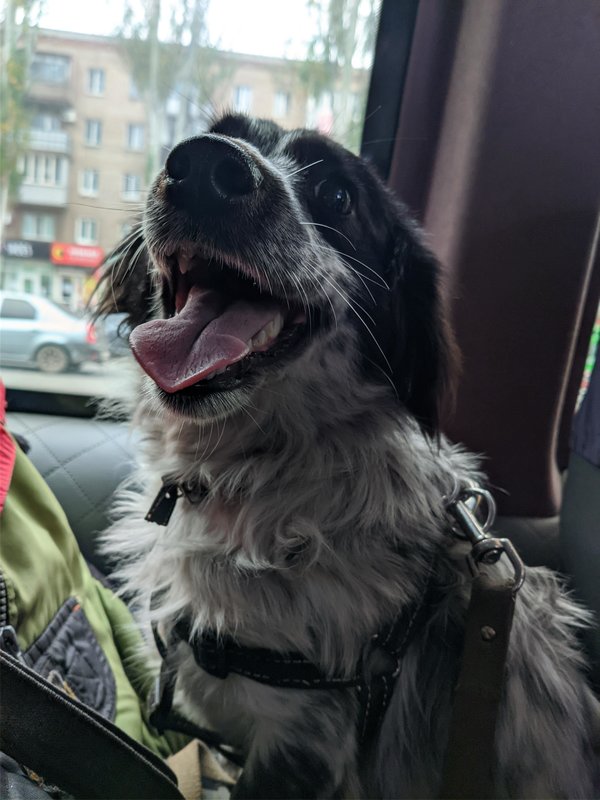 Финансовый отчет Ладушки 