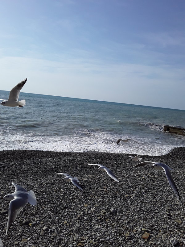 лики - Страница 15 - Форум 