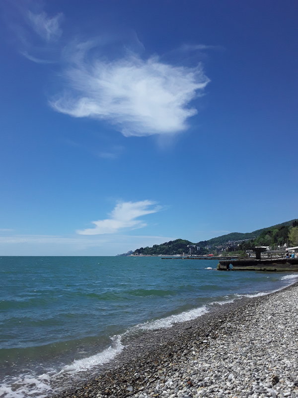 И чайка небесная