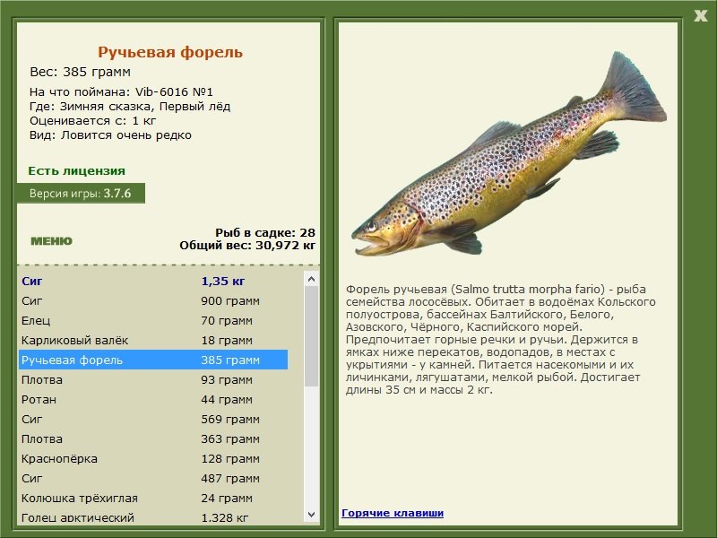 РУССКАЯ РЫБАЛКА Installsoft Edition 