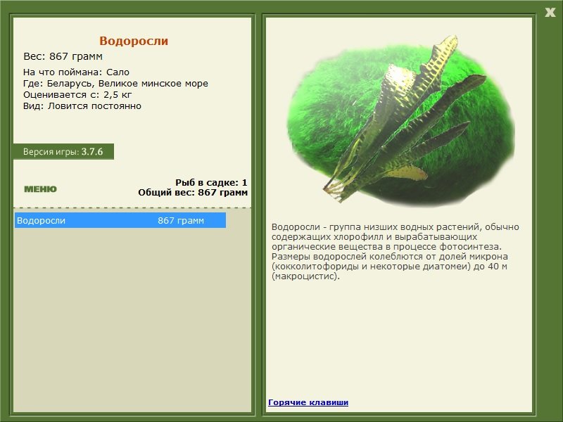 Великое минское море 