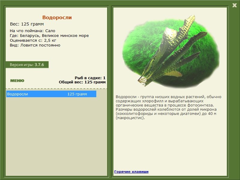 Великое минское море 
