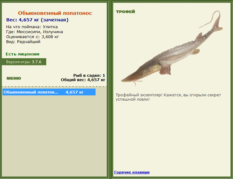 турниры • РУССКАЯ РЫБАЛКА
