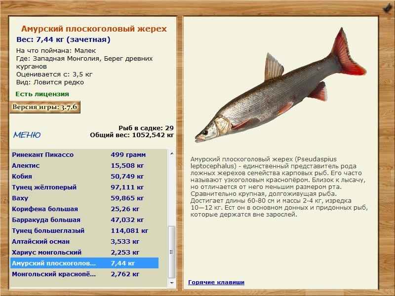 Берег древних курганов 