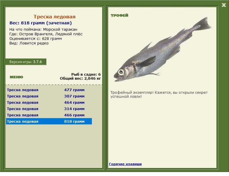 Морской таракан 