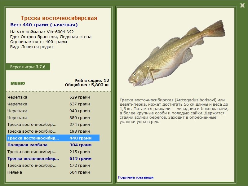РУССКАЯ РЫБАЛКА Installsoft Edition 