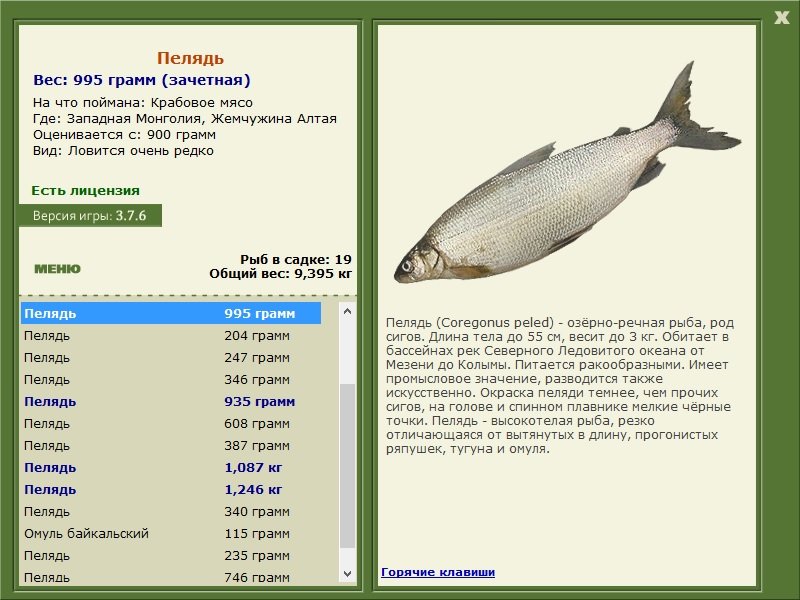 РУССКАЯ РЫБАЛКА Installsoft Edition 