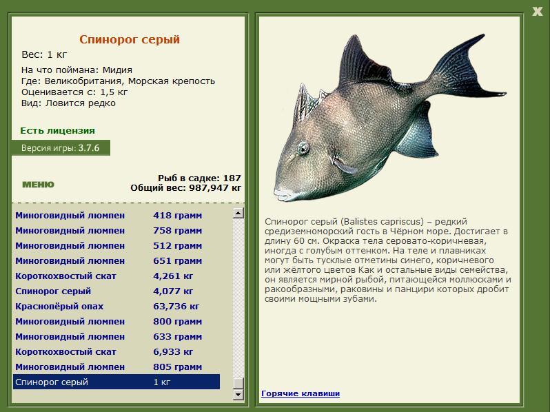 турниры • РУССКАЯ РЫБАЛКА