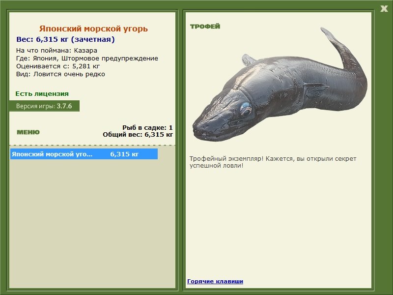 Штормовое предупреждение 