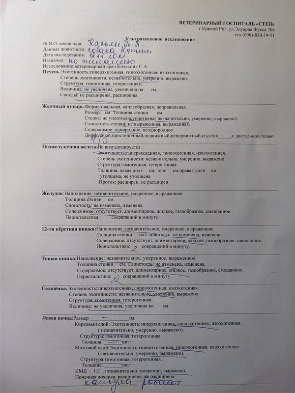 ка с 10.03.2021) • Финансовые отчеты животных ВОЛОНТЕРОВ