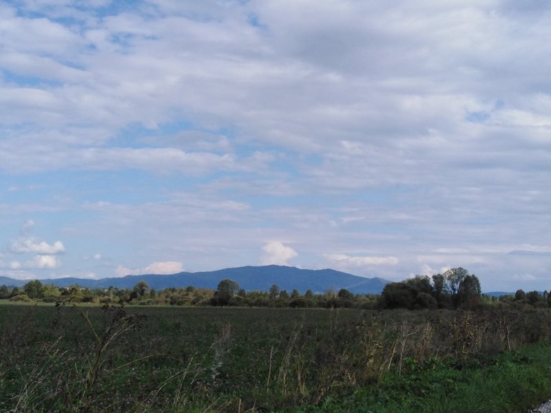  Страница 30 - Форум 