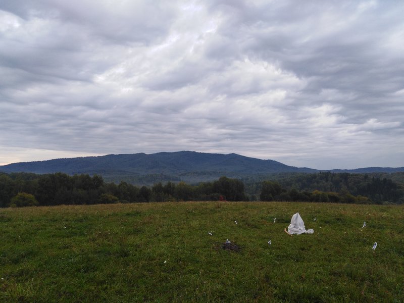  Страница 31 - Форум 