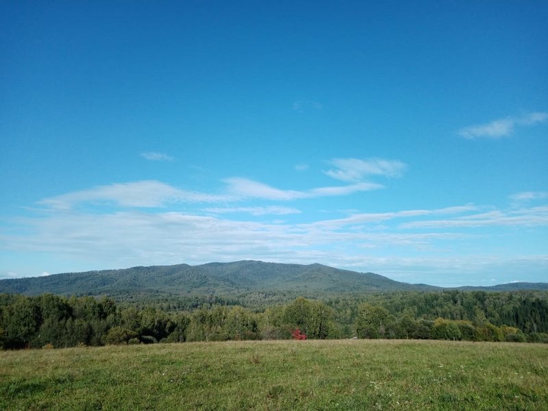  Страница 31 - Форум 