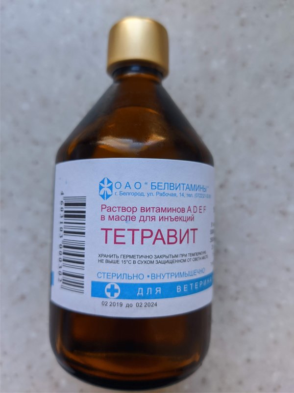 ка с 10.03.2021) • Финансовые отчеты животных ВОЛОНТЕРОВ