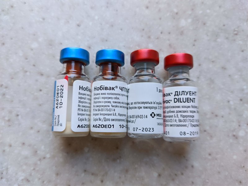 Финансовый отчет Ладушки 