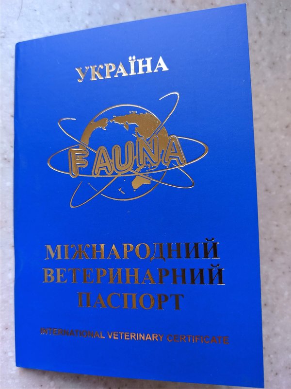 Финансовый отчет Ладушки 