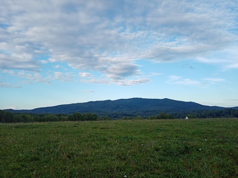  Страница 31 - Форум 