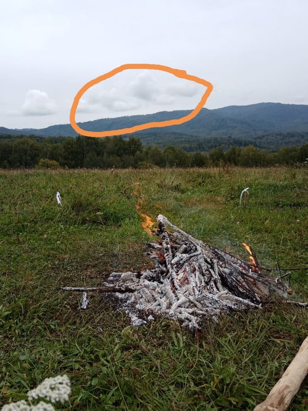  Страница 31 - Форум 