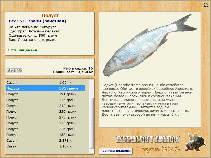 Розовый перекат 