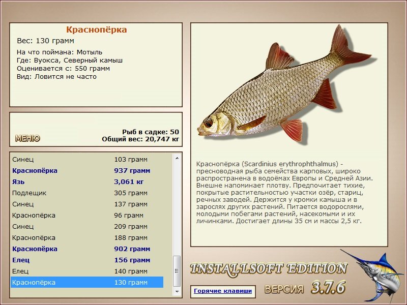 Северный камыш 