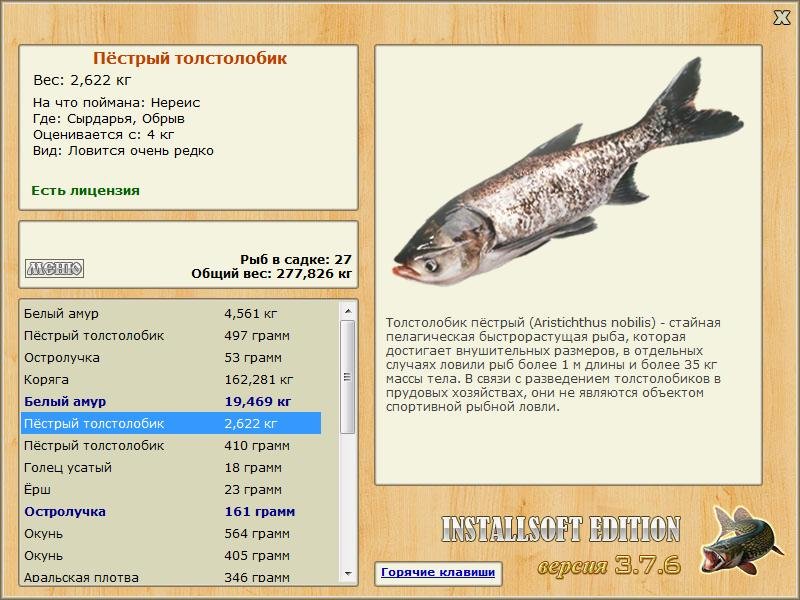 Сырдарья 