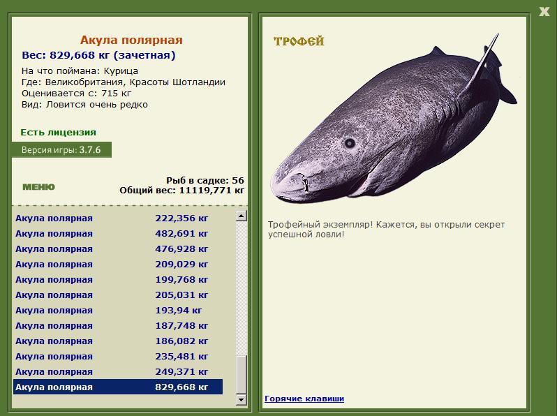 Акула полярная 