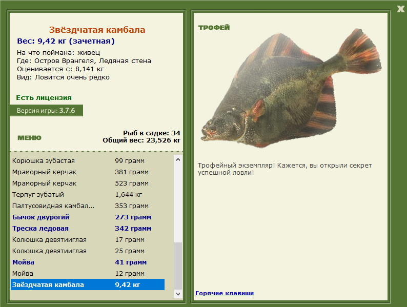 Ледяная стена 
