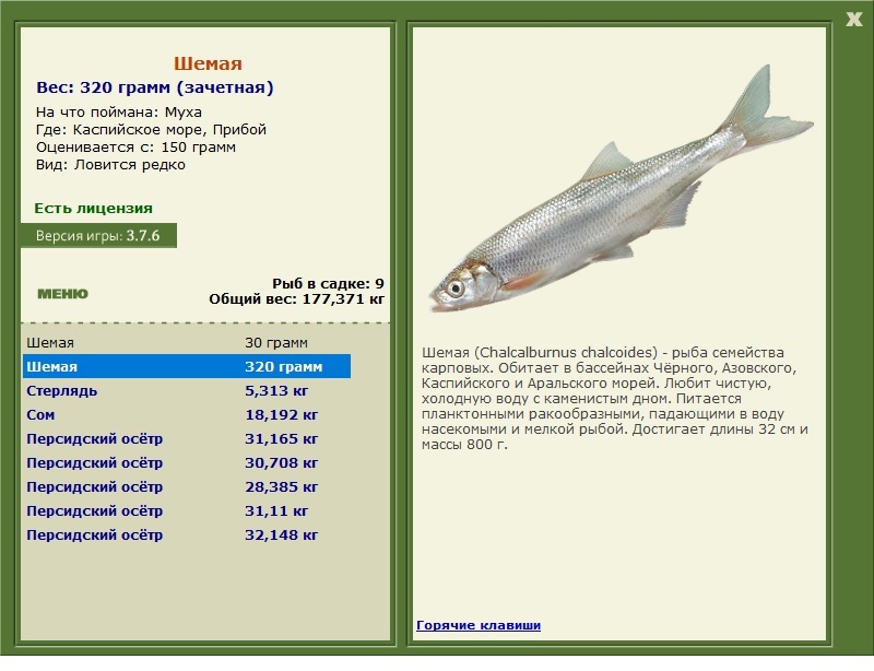 Каспийское море 
