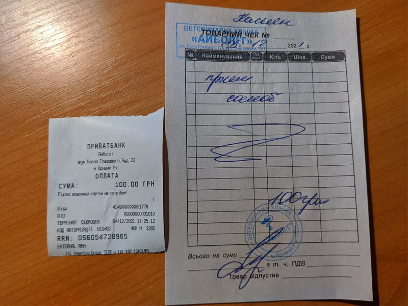 Финансовый отчет Персика (котика с дерматитом) 