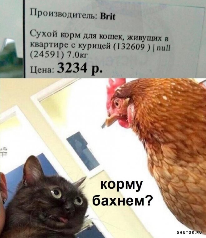 Юмор