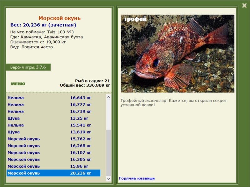 Авачинская бухта 
