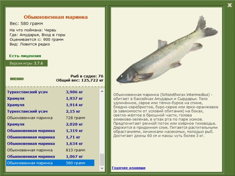 Вход в горы 