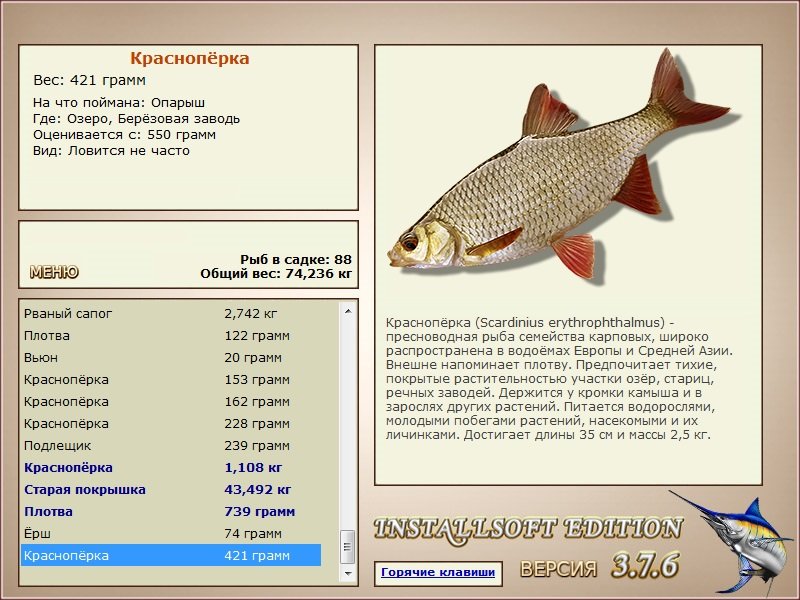 Берёзовая заводь 