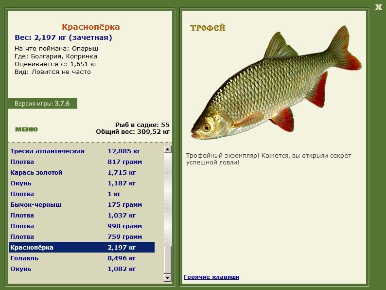 Краснопёрка 