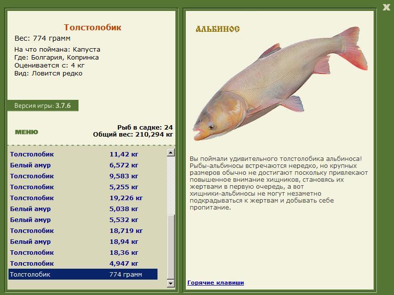 турниры • РУССКАЯ РЫБАЛКА