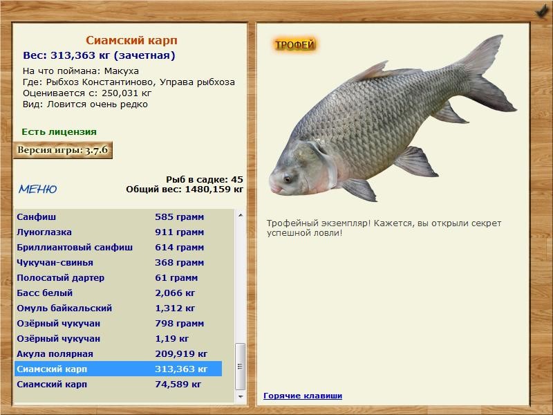 Управа рыбхоза 