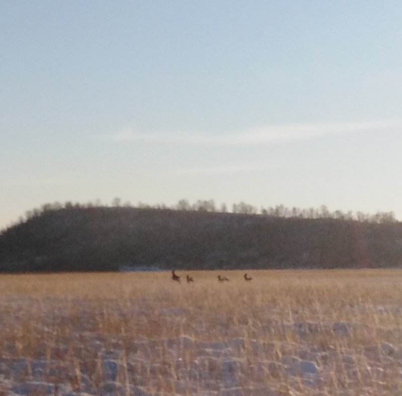  Страница 38 - Форум 