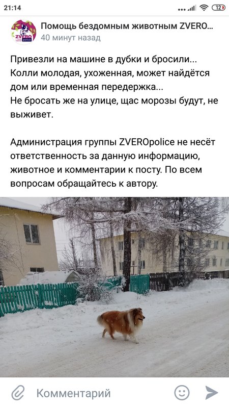 Изображение