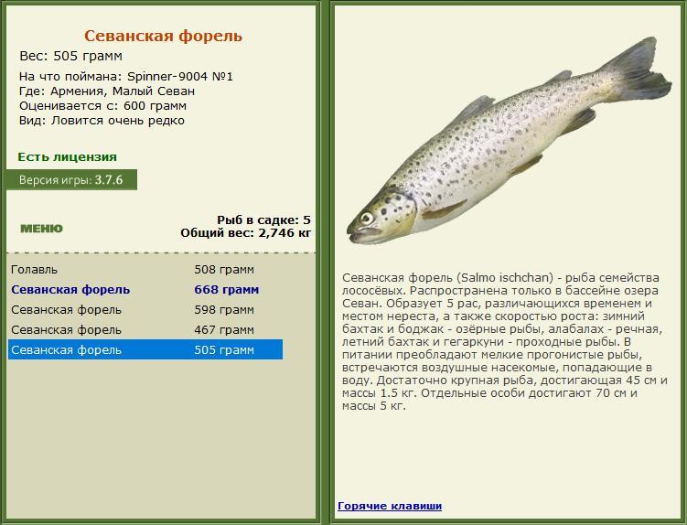 Малый Севан 
