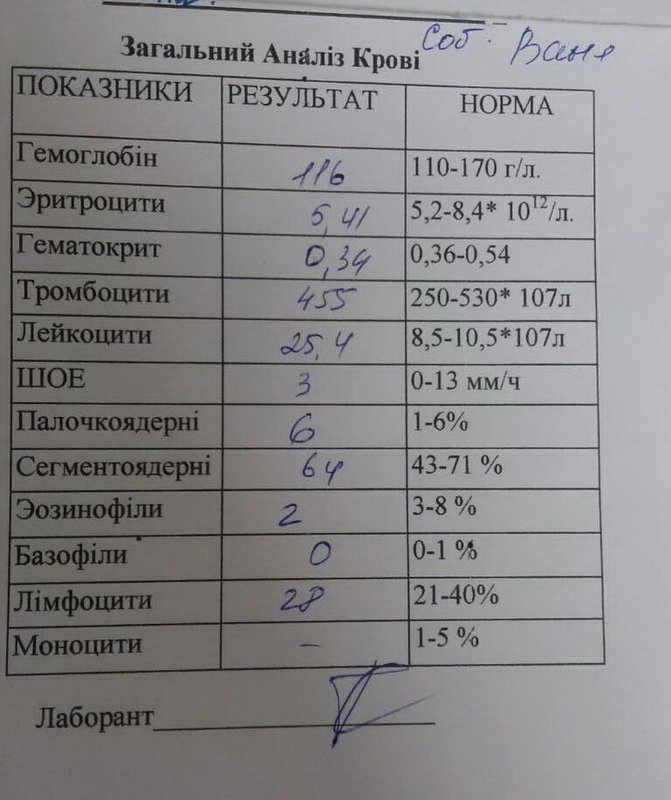 Финансовый отчет брошенных щенков с Ласточки 