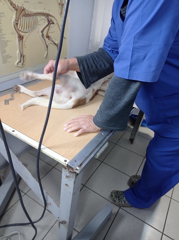 Общий финансовый отчет счетов Матвеевой 