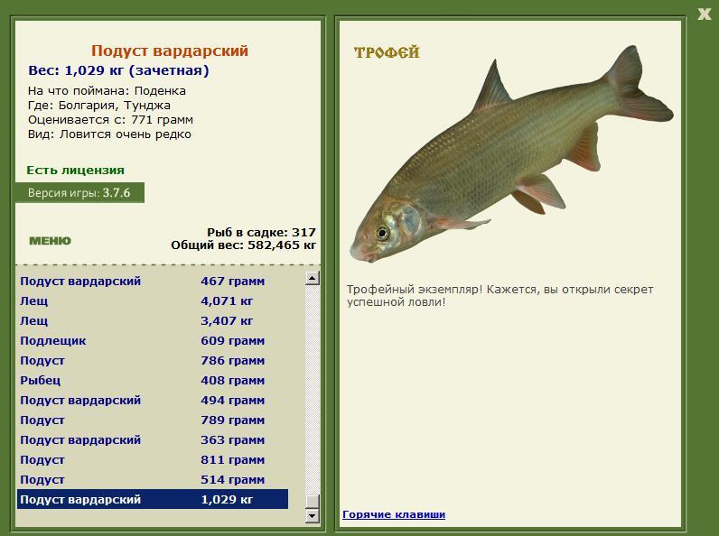Подуст Вардарский 
