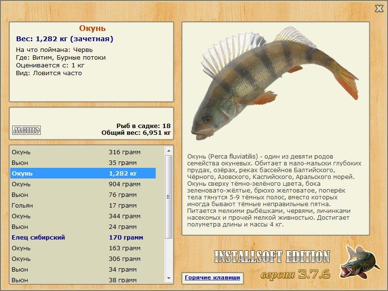 Бурные потоки 