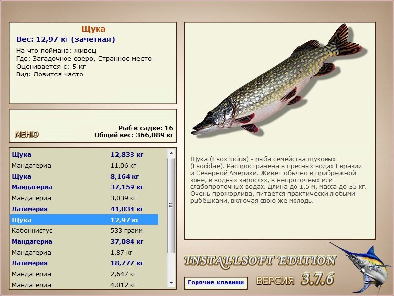 Странное место 