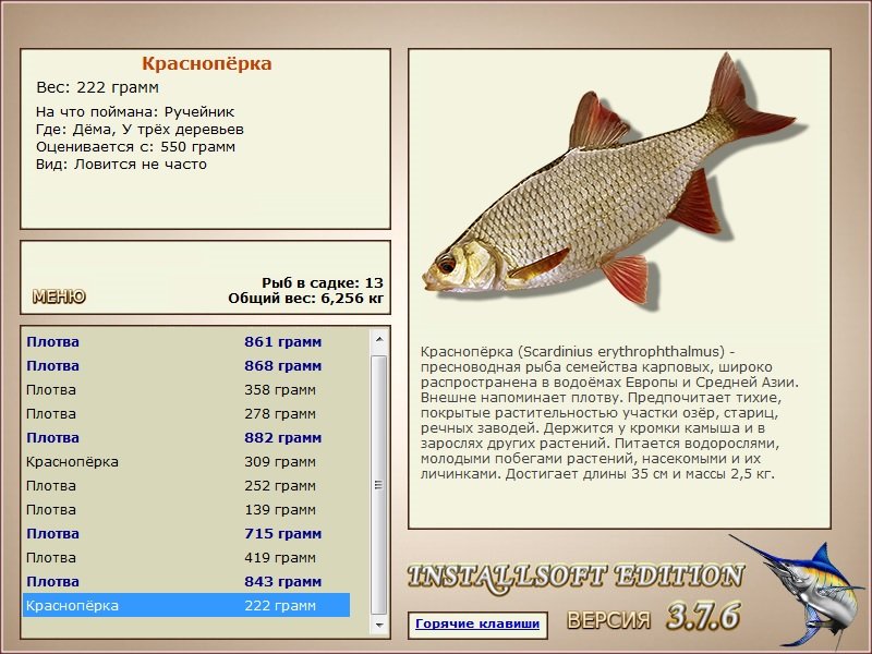 турниры • РУССКАЯ РЫБАЛКА